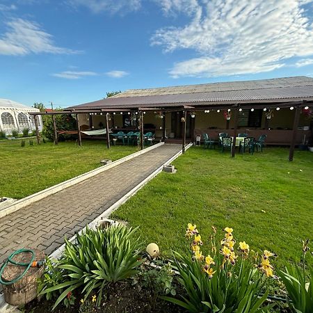 Gigios Sport&Relax Villa Bailesti Bagian luar foto