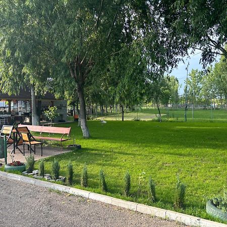 Gigios Sport&Relax Villa Bailesti Bagian luar foto