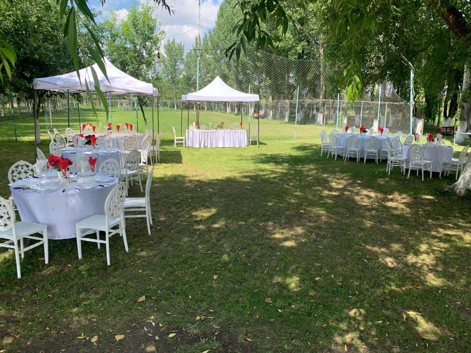 Gigios Sport&Relax Villa Bailesti Bagian luar foto