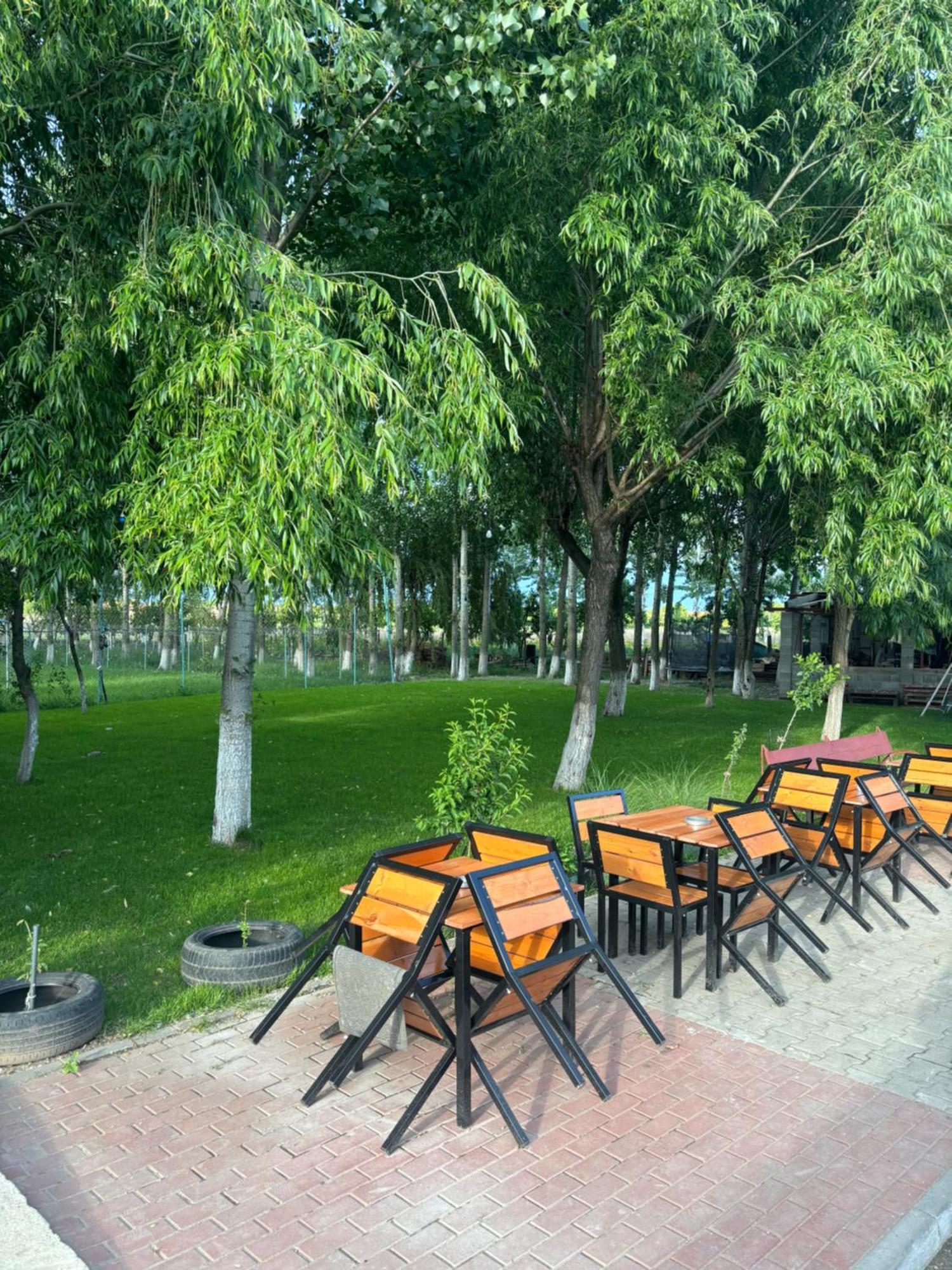 Gigios Sport&Relax Villa Bailesti Bagian luar foto